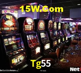 Experiência VIP Tg55